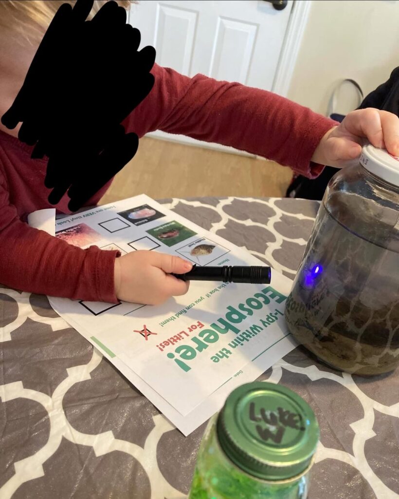 Homeschool co-op on Ecospheres