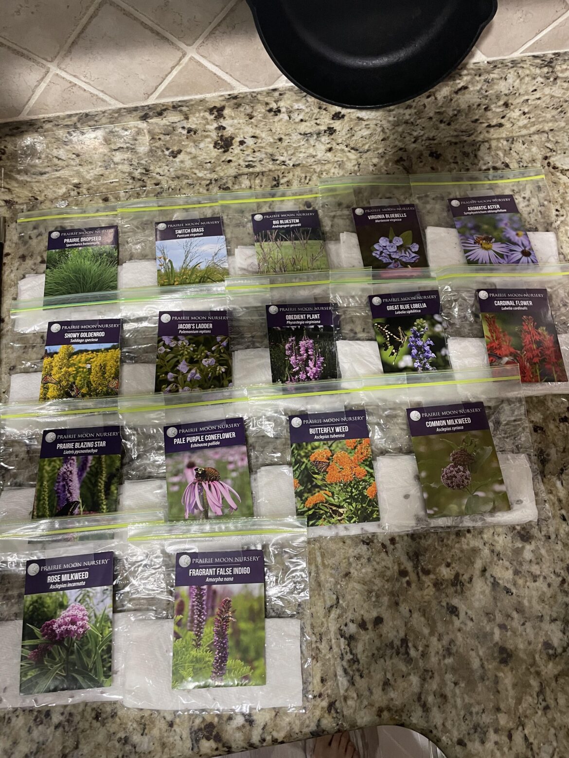 Zone 6b. Giving starting my own seeds a shot this year! Zone 6b. Giving starting my own seeds a shot this year!