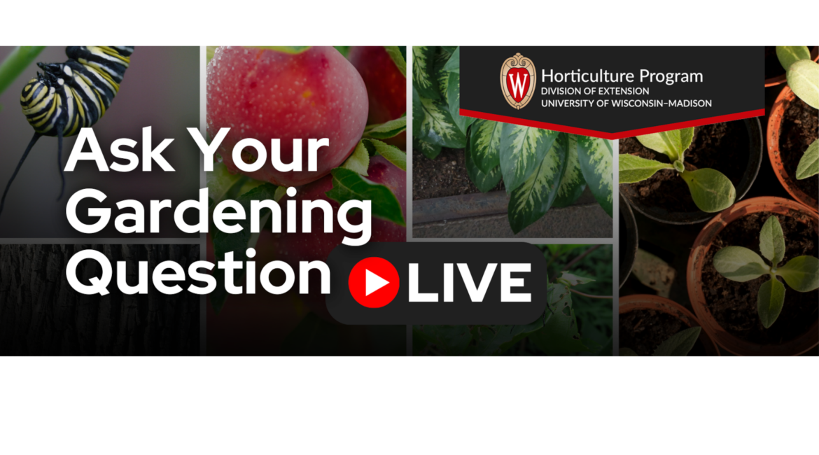 Ask Your Gardening Question: LIVE With UW-Madison Gardening Question