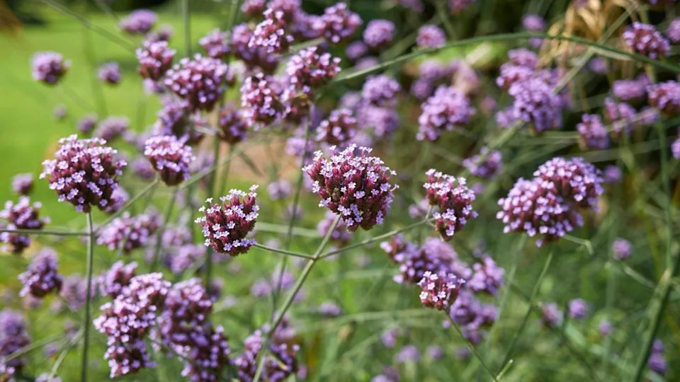 Image Credit: Deposit Photos