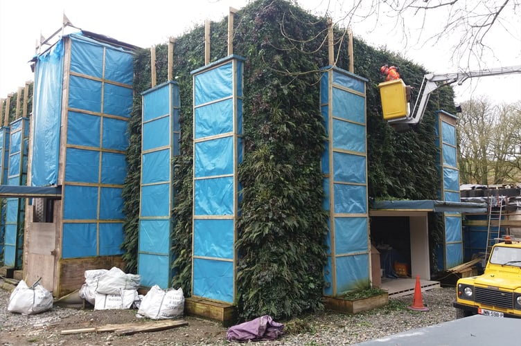 Ashdowne House is pictured in 2019 being planted with evergreen foliage