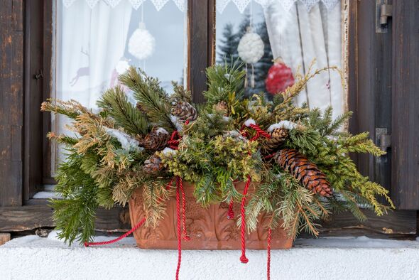 Window box with evergreens Window box with evergreens