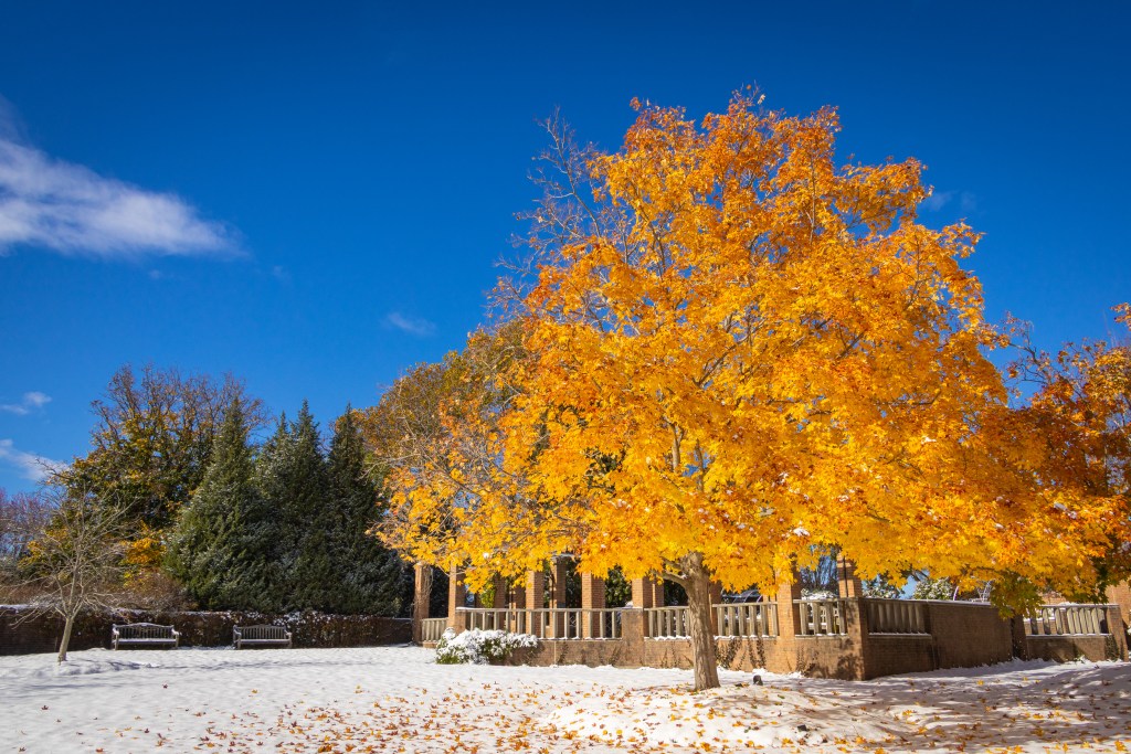 Edit your garden to fit your unique taste Edit your garden to fit your unique taste