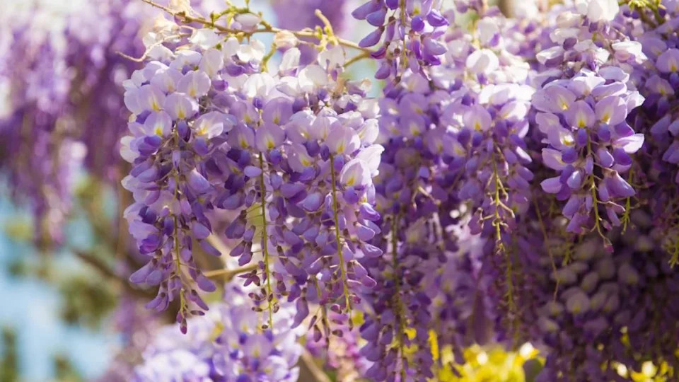 Image Credit: Deposit Photos