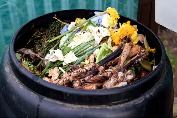 Garden compost bin Garden compost bin