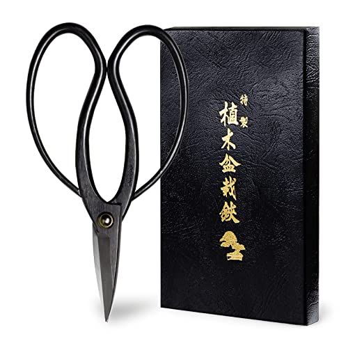 Wazakura Bonsai Scissors Made in Japan 7inch(180mm), Japanese Bonsai Garden Tools, Hasami Pruning Shears