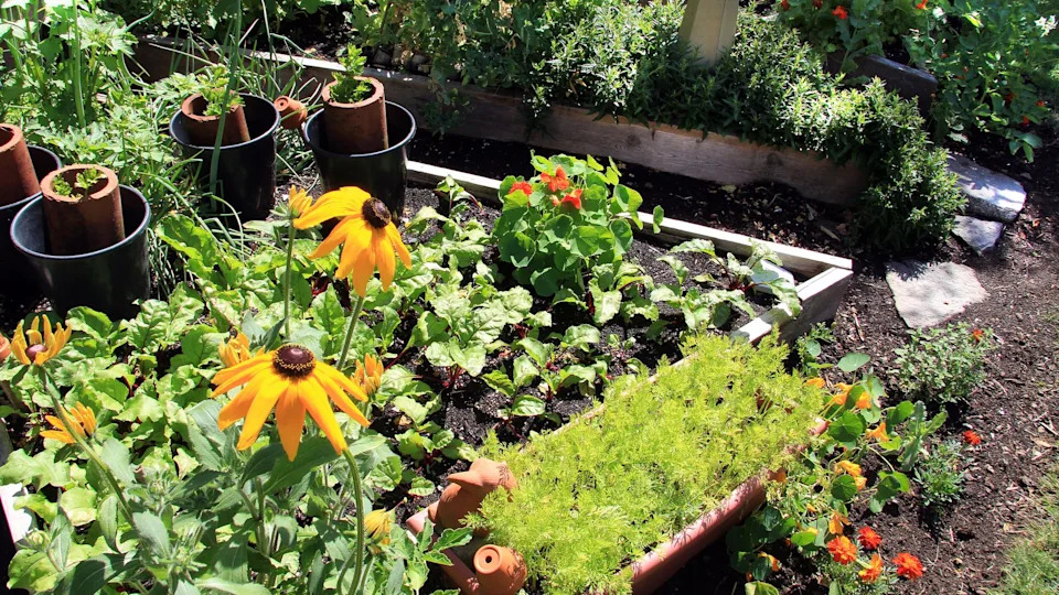 Bright summer vegetable garden and flower bed.