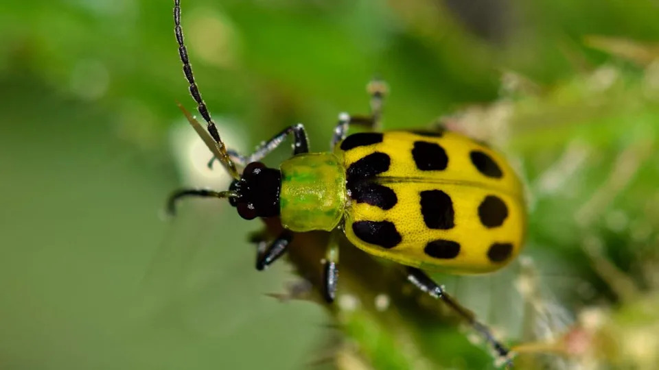 Image Credit: Deposit Photos