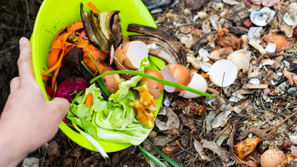 composting food scraps and eggshells