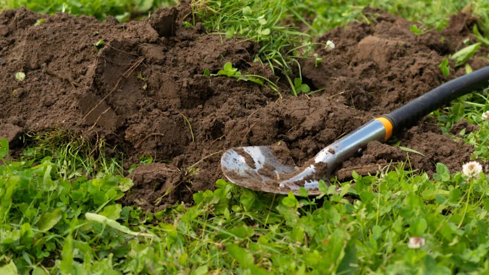 a hand shovel is lying on the green grass next to the excavated earth