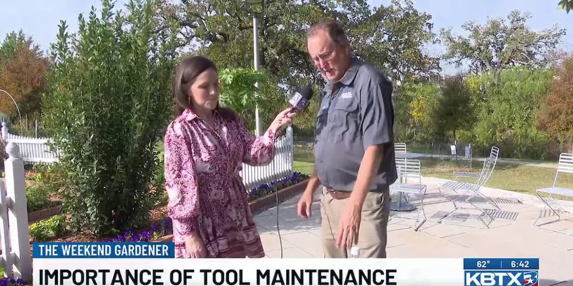 Weekend Gardener: Tool maintenance