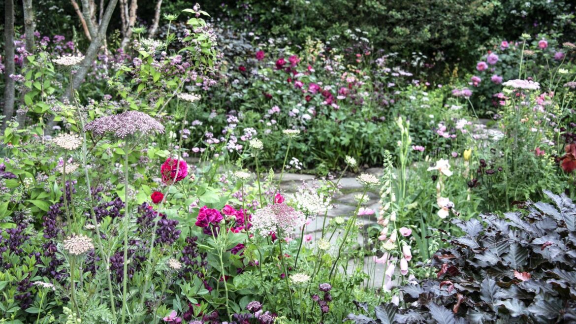 Flower Seeds to Sow in February for Early Blooms to Enjoy A bright flower bed with red and white blooms at the Chelsea Flower Show