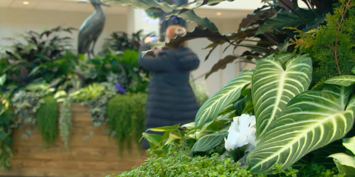 Brookgreen Gardens opens Purdy Center with art and botanical exhibits