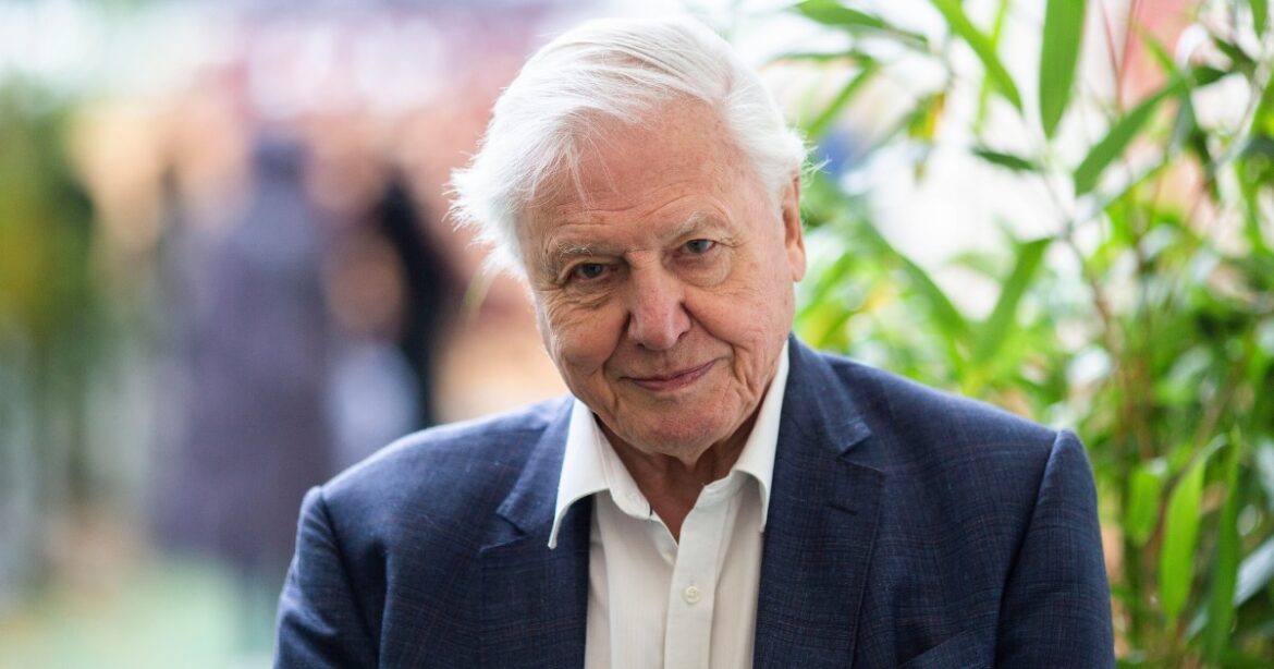 Human skull in David Attenborough's garden solves old murder
