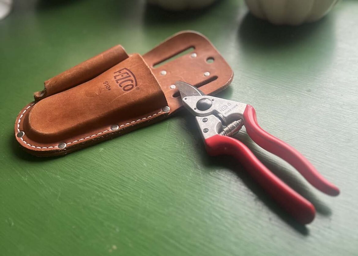A Must-Have for Any Gardener