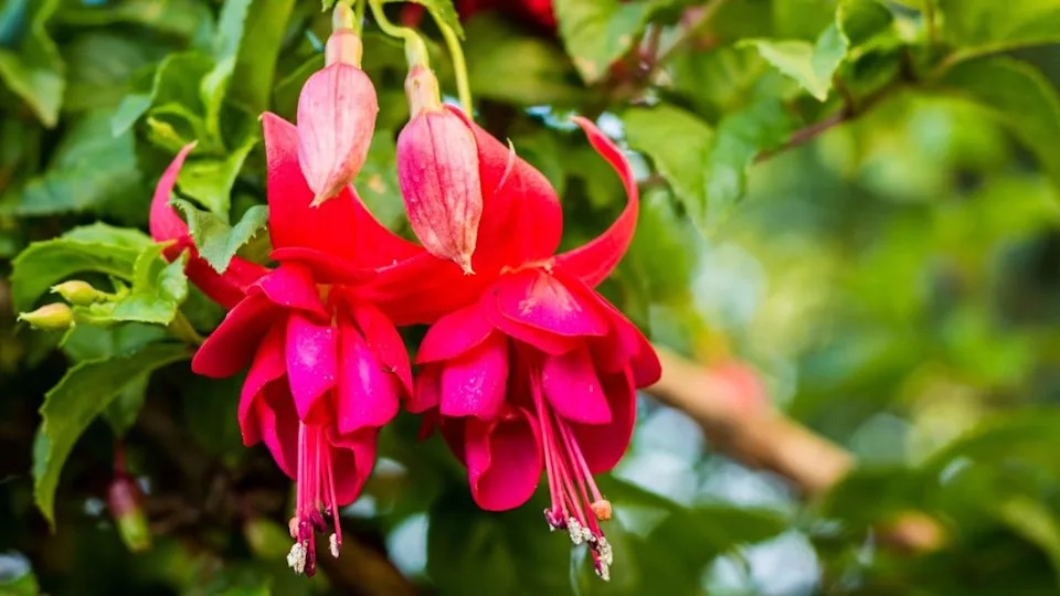 Image Credit: Deposit Photos