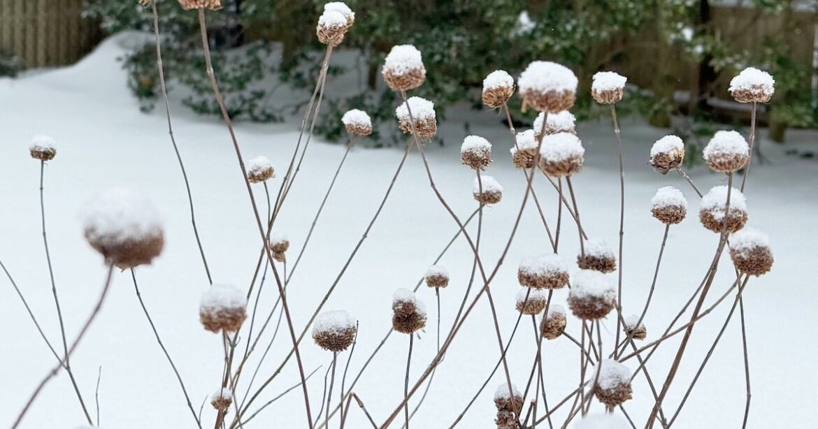 Here's what happens to your garden beds