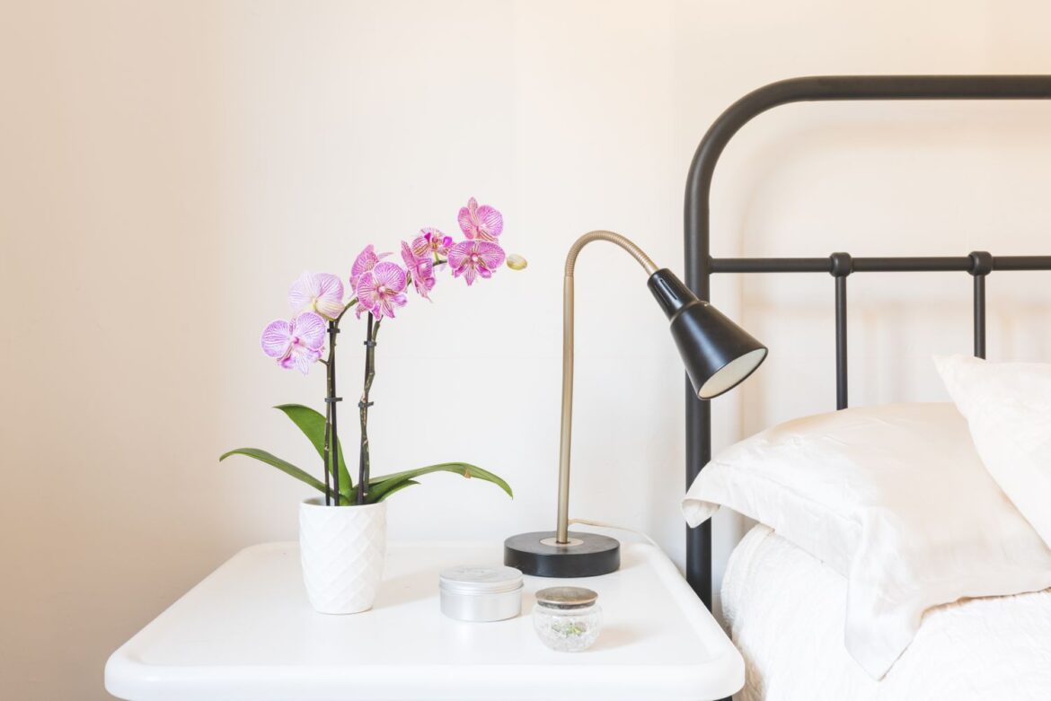 6 Tips That Make Repotting Your Orchid So Much Easier, According to Gardening Experts 6 Tips That Make Repotting Your Orchid So Much Easier, According to Gardening Experts