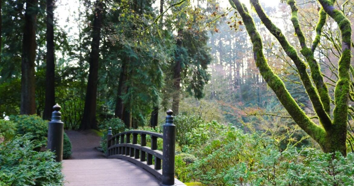 Portland Japanese Garden Offers Free Admission Following Border Patrol Shooting Portland Japanese Garden Offers Free Admission Following Border Patrol Shooting