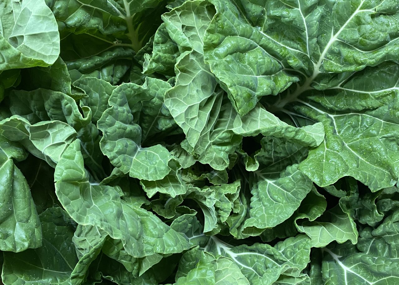 A good frost makes collards sweet and ready to eat. Photo: Heidi Skinner