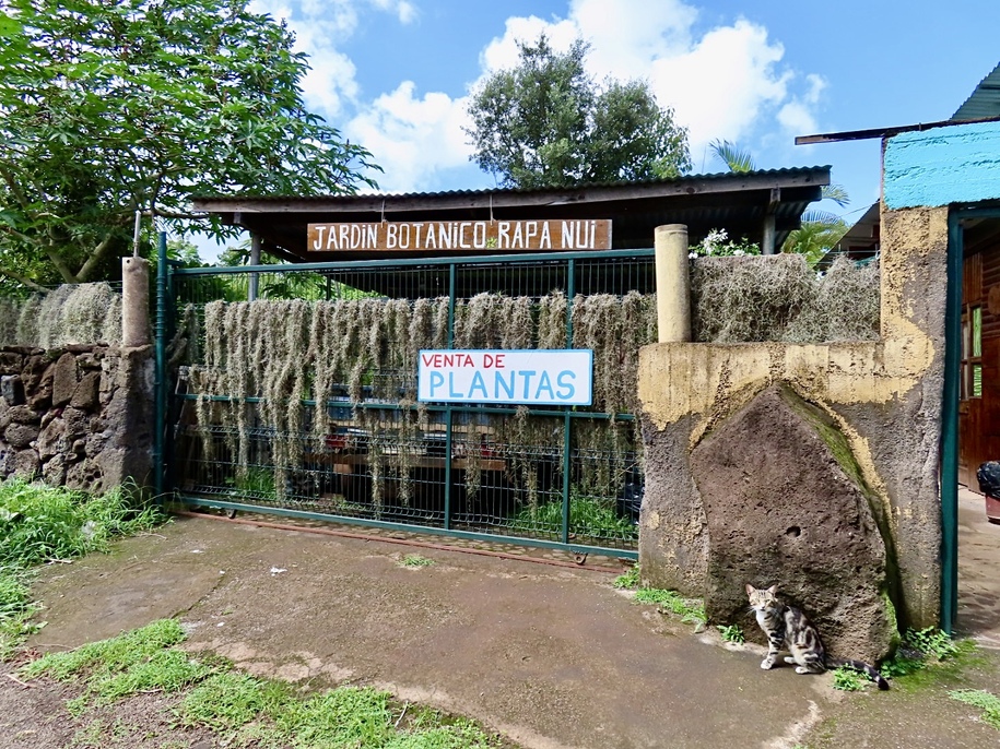 Rapa Nui Botanical Garden and some Moai Rapa Nui Botanical Garden and some Moai