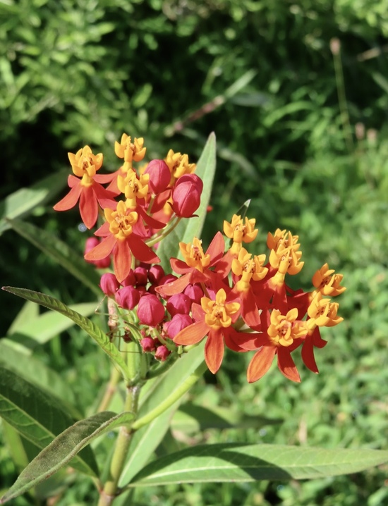 Easter Island Easter Island