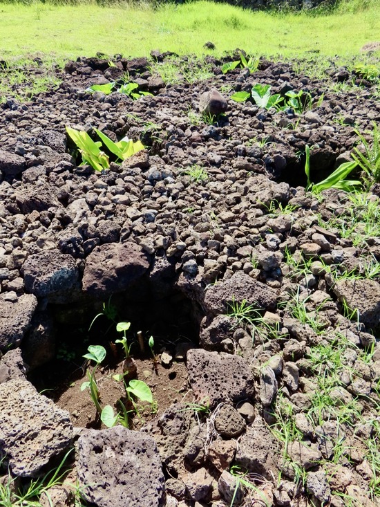 Easter Island Easter Island