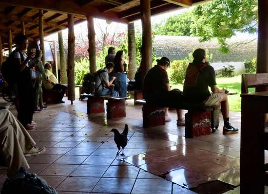 Easter Island Easter Island