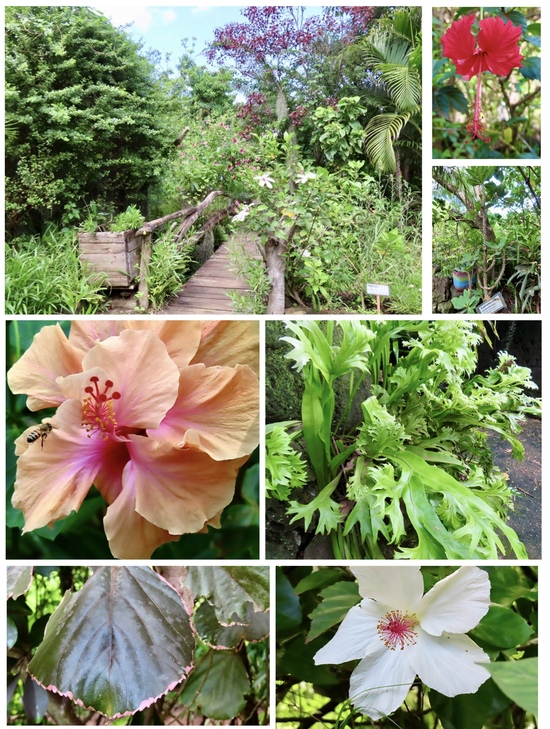 Easter Island Easter Island