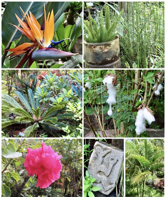 Easter Island Easter Island