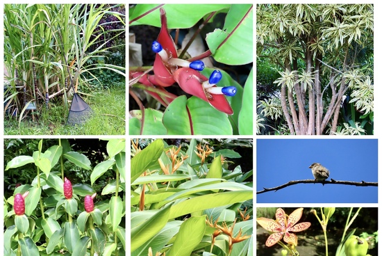 Easter Island Easter Island