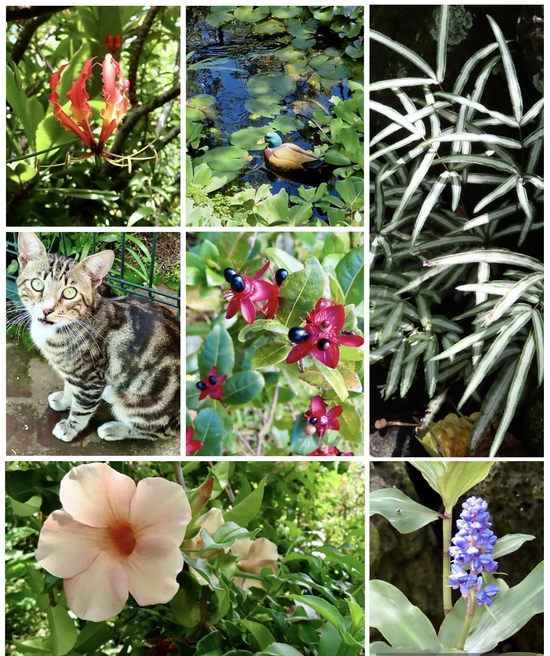 Easter Island Easter Island