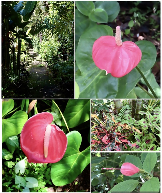 Easter Island Easter Island