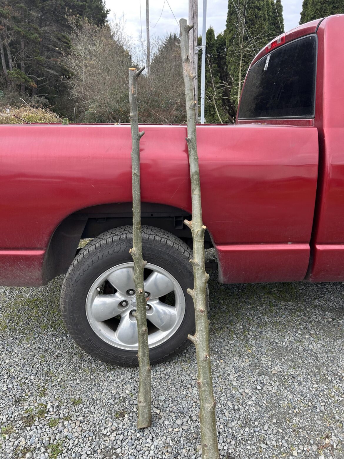 Is there something I can use these for around the garden? I like them but don’t know what to do other than brag to my 4 year old that my sticks are better