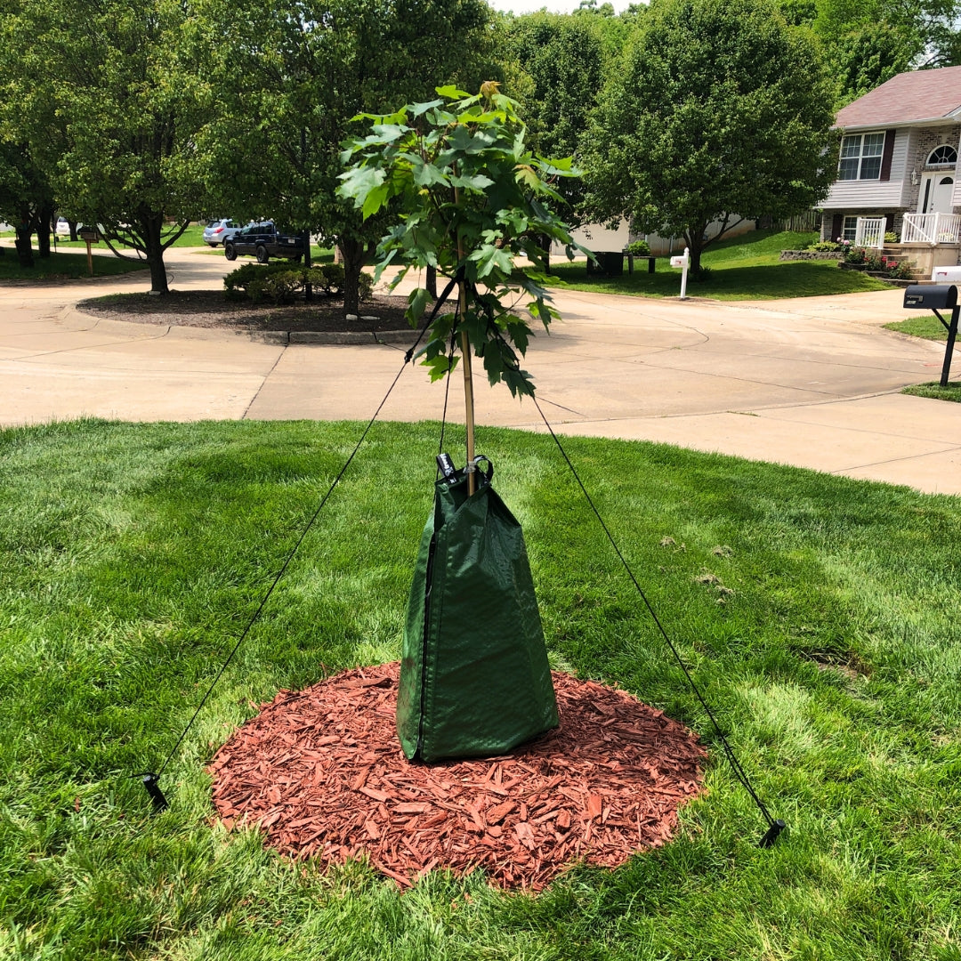 Dewitt Dew Right Tree Watering Bag - Default Title