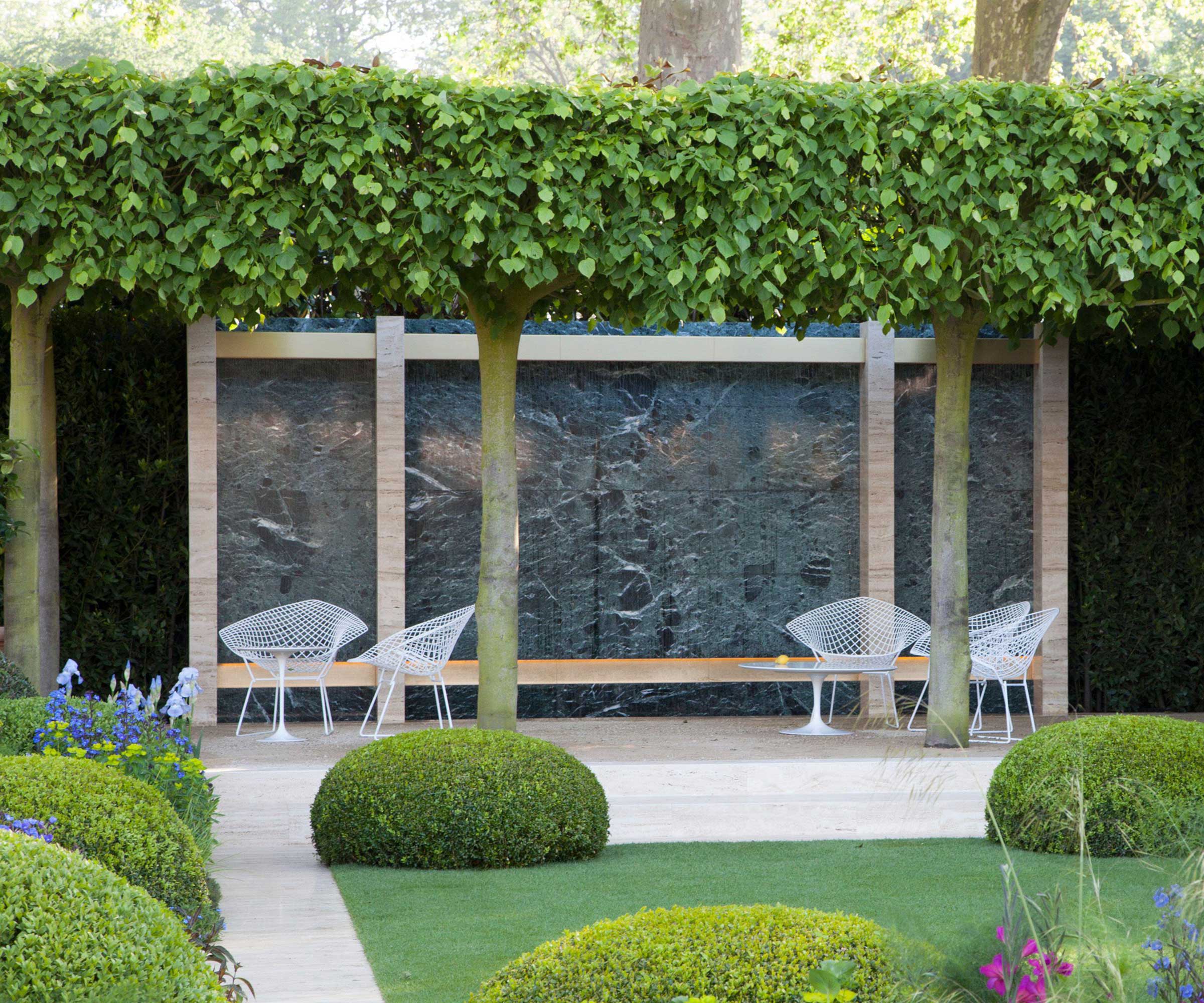 garden with pleached limes
