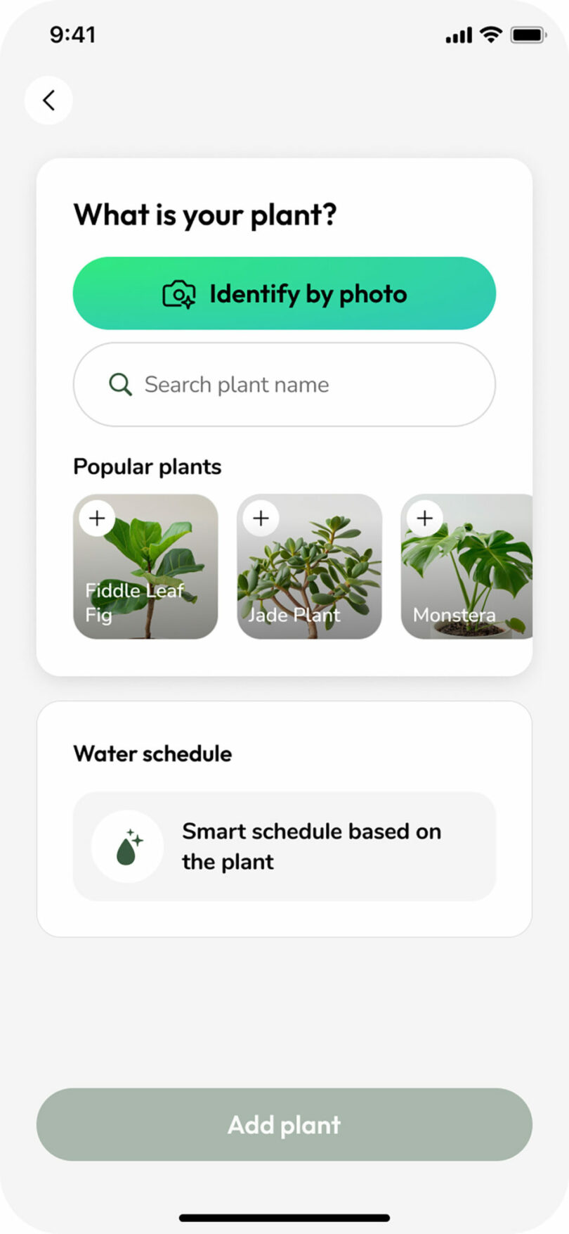 A plant identification app screen showing options to identify a plant by photo, search by name, view popular plants, and set a water schedule.