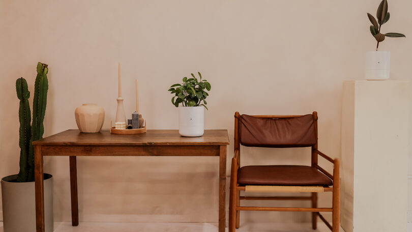 A wooden table with decor items and a potted plant next to a brown chair; a cactus and another plant are also visible in the minimalist room.