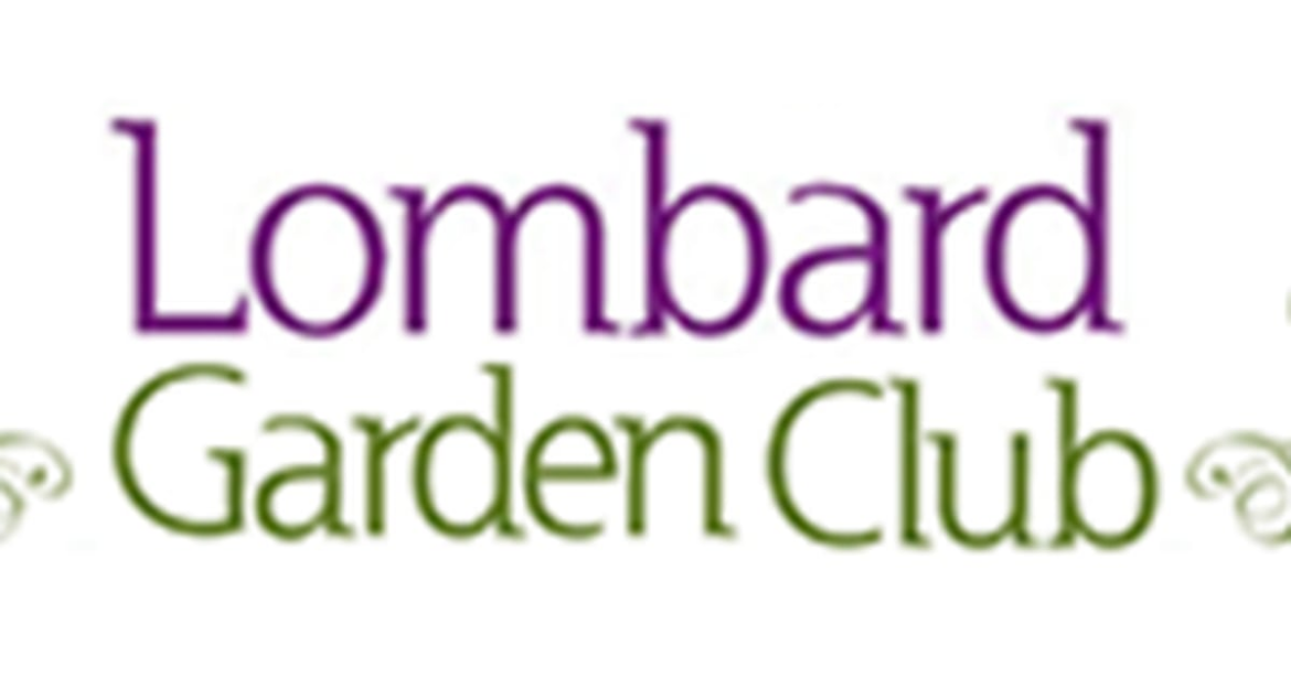 Author to discuss bison and Illinois tall grass prairie at Lombard Garden Club meeting – Shaw Local