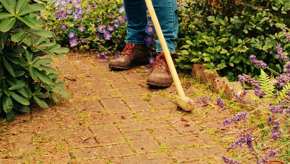 Garden maintenance on pavers Garden maintenance on pavers