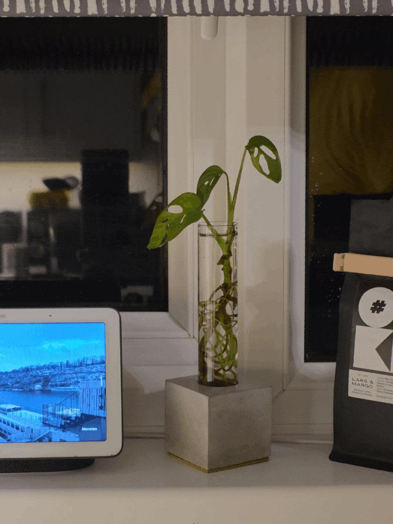 I couldn’t find a propagation vase I liked… so I made one 🌱