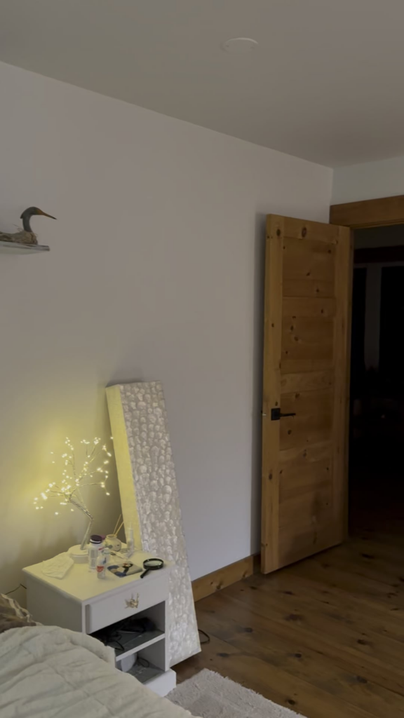 Can you tell I like birds and plants? Welcome to my bedroom!