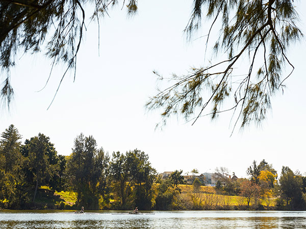 kayakers on the nepean river in penrith