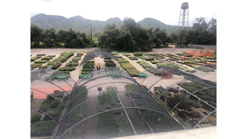 A Southern California nursery shows how gardening can improve mental health – Orange County Register A Southern California nursery shows how gardening can improve mental health – Orange County Register