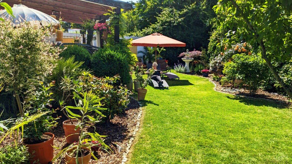 Our Garden June 2025 - wifes favorite place to read. Can't wait for spring.