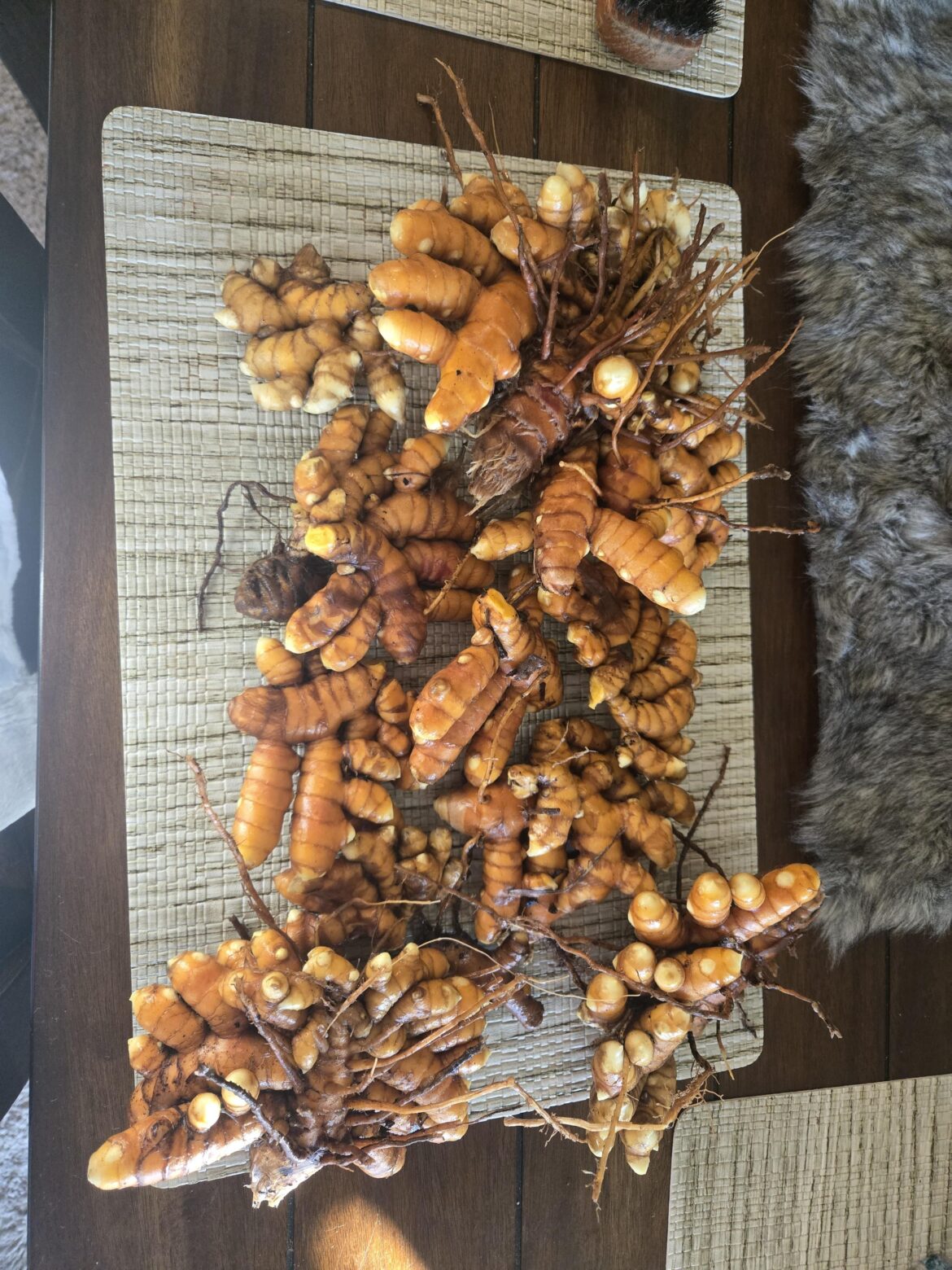 Out of 3 plants of tumeric.