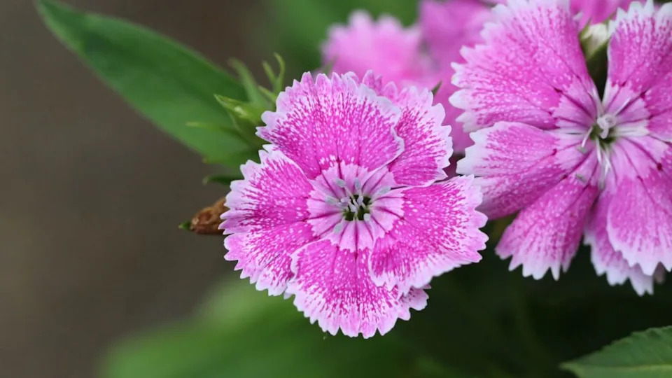 Image Credit: Deposit Photos