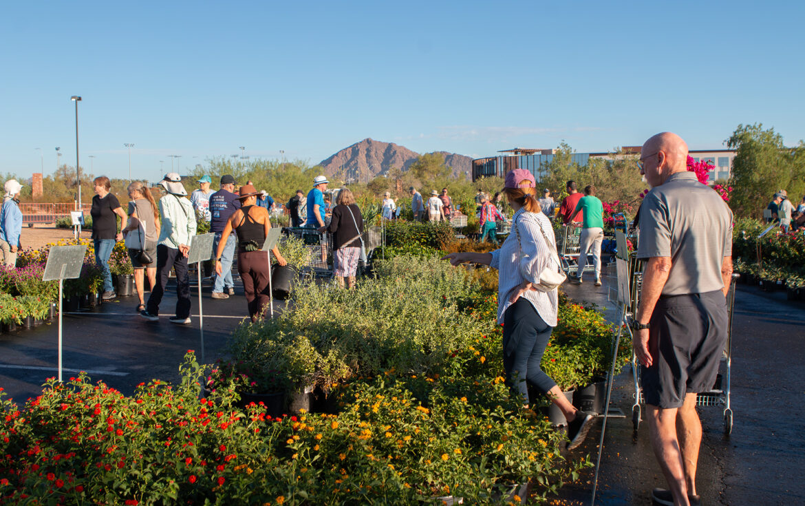 Celebrating 50 Years of Planting Together