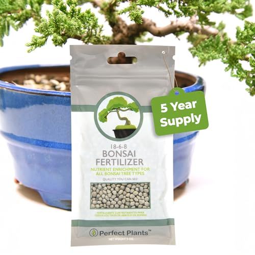 Bonsai Fertilizer Pellets by Perfect Plants - 5 Year Supply - All Natural Slow Release - Extended Enrichment for All Live Bonsai Tree Types