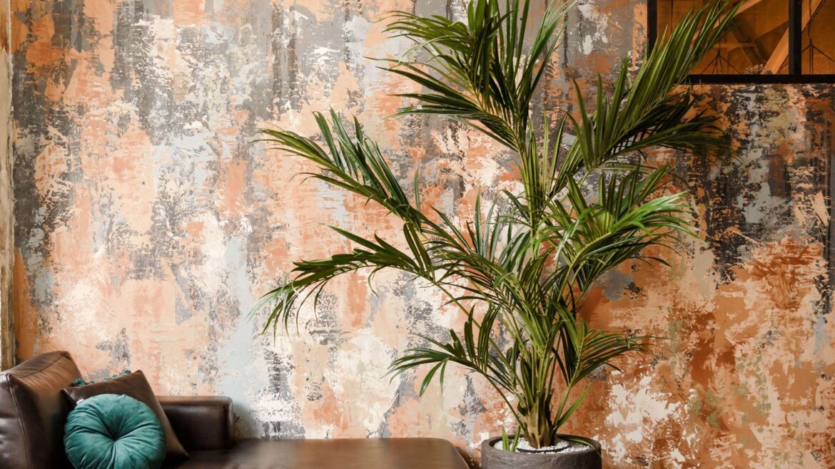 How to Revive Houseplants You Forgot to Water: 3 Steps indoor plant Kentia palm against orange wall